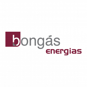Bongas